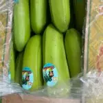 Banana 65 lb/Box (Wholesale & Retail)
